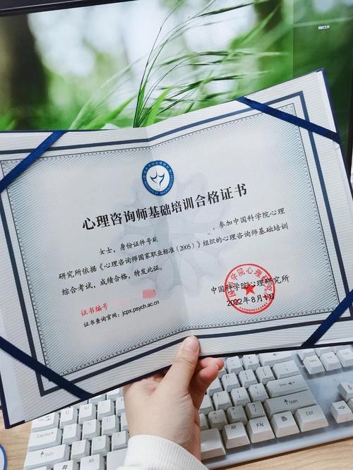 2019年博主面临毕业找工作的状况,一直对心理咨询行业感兴趣
